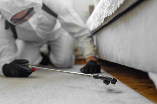 Professional Bed Bug Control technician working in Deltana, AK