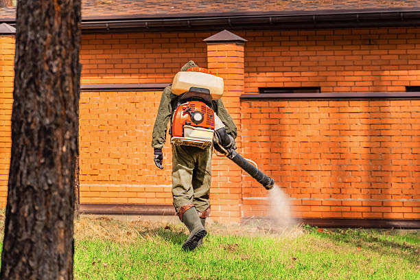 Trusted Bed Bug Control service in Deltana, AK - Nex Pest Control